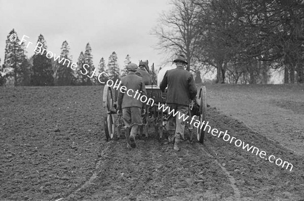 SOWING OATS BY MACHINE DAIRY HILL